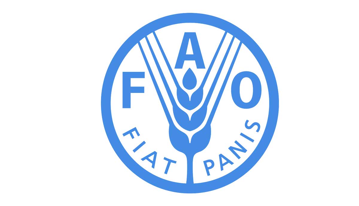 CERF accorde 1 million de dollars à FAO au profit de l'État haïtien dans la gestion du COVID-19