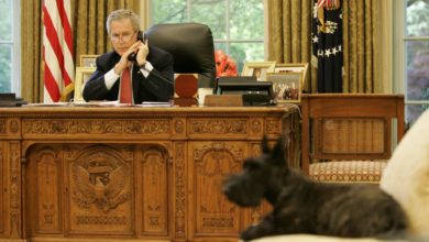 L’ancien président Georges W. Bush félicite Joe Biden pour sa victoire