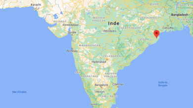 Inde/Andhara: Une maladie mystérieuse fait un mort et 550 personnes hospitalisées