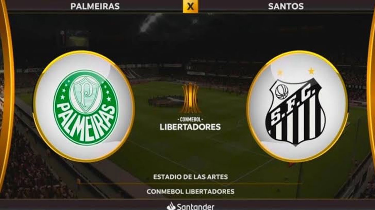 Copa libertadores : Victorieuse contre Santos, Palmeiras remporte son deuxième titre