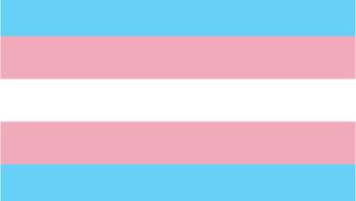 31 mars : Journée internationale de la visibilité des transgenres
