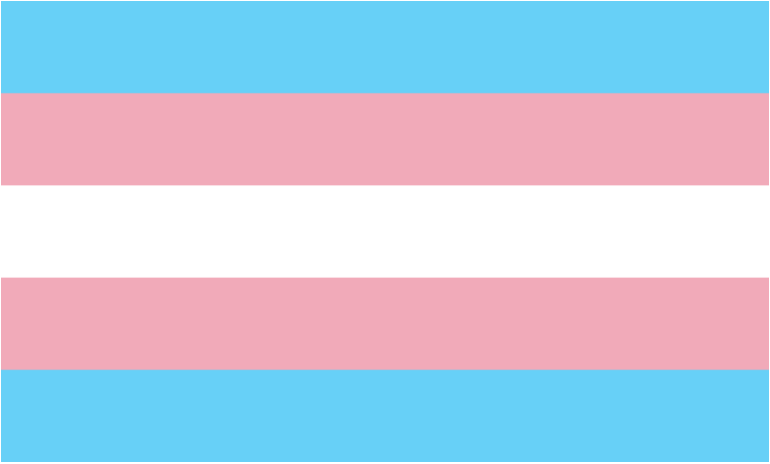 31 mars : Journée internationale de la visibilité des transgenres