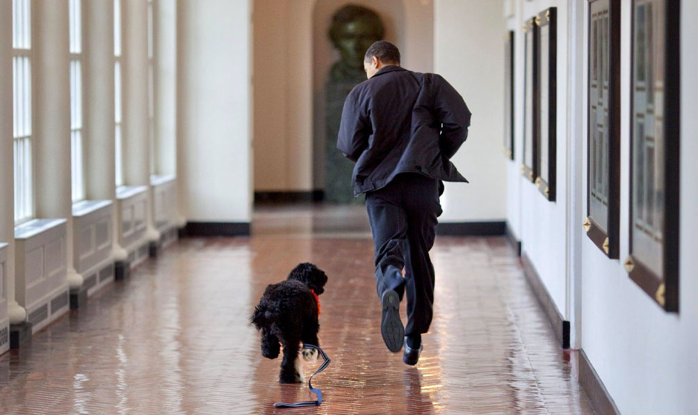 Obama pleure la mort de son chien, Bo