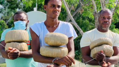 Trois Jamaïcains arrêtés, un lot de marijuana saisi dans les eaux territoriales d'Haïti