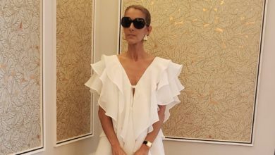 "Elle ne peut plus marcher" : l'état de santé de Céline Dion inquiète