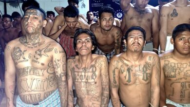45 000 membres de gangs arrêtés, 1 038 armes à feu et 1 235 véhicules saisis au Salvador