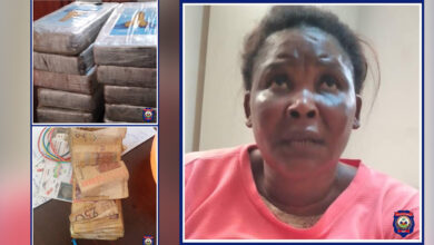 Une femme arrêtée, une forte somme d'argent et 11.5 kg de cocaïne saisis par la BLTS dans le Nord