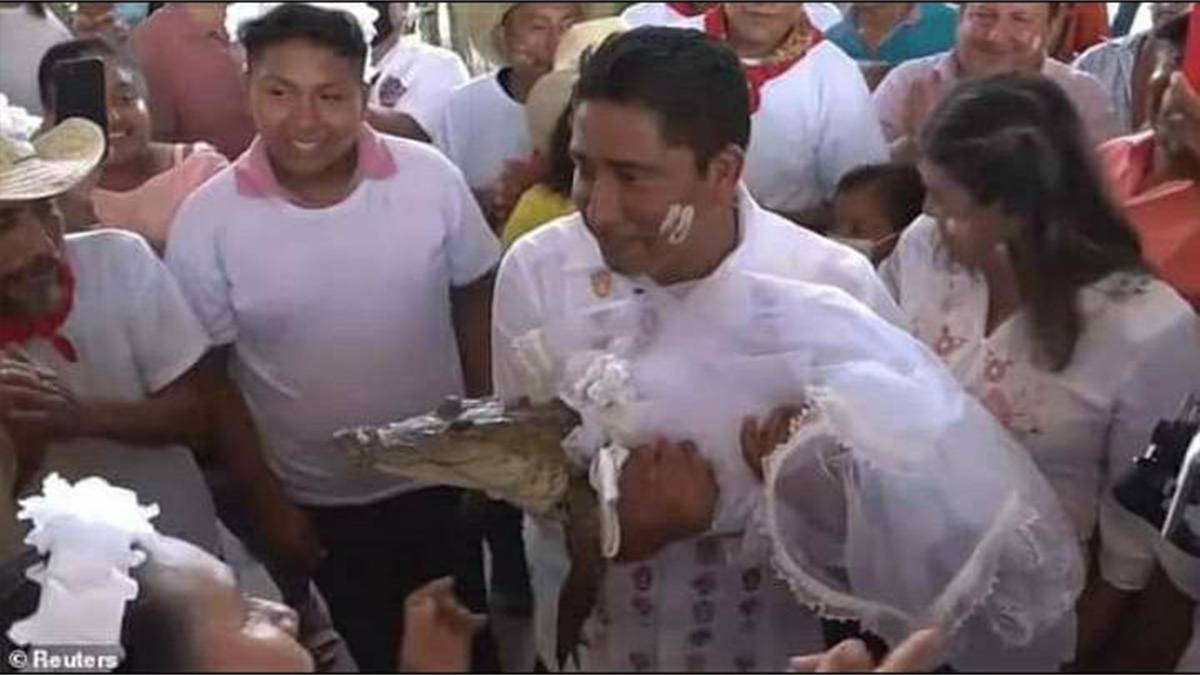 Mexique : Un maire épouse un alligator en robe de mariée