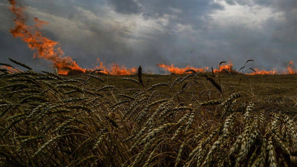 Les cargaisons de blé ukrainiennes peinent à trouver des acheteurs