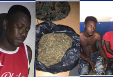 Trois présumés bandits arrêtés et des substances semblables à la marijuana saisies à Belladère