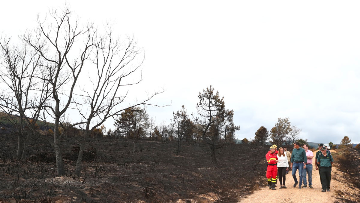 Incendies en Europe : l'Espagne décrète l'état de catastrophe naturelle dans les zones touchées
