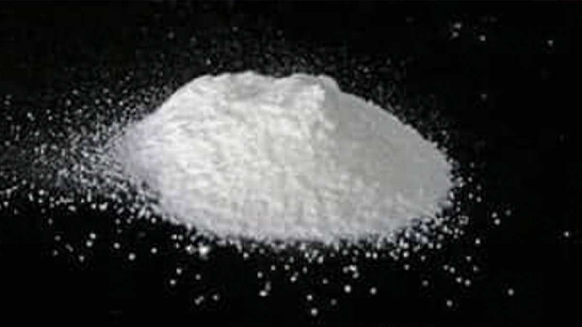 L'ONU alerte sur l'augmentation record de la production de cocaïne dans le monde