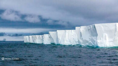 Un iceberg 15 fois plus gros que Paris se détache de l’Antarctique