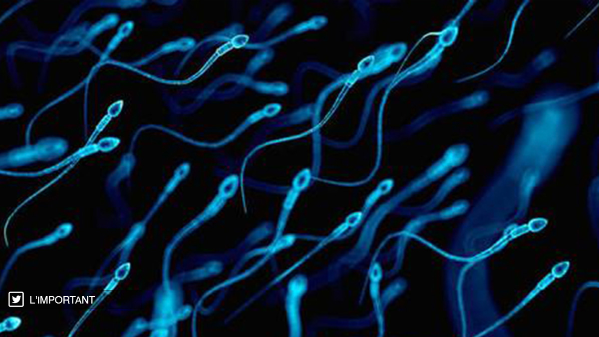 Un donneur de sperme crédité d'au moins 550 enfants, poursuivi au Pays-Bas