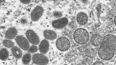 L'OMS met fin à l'urgence de santé publique de la variole du singe