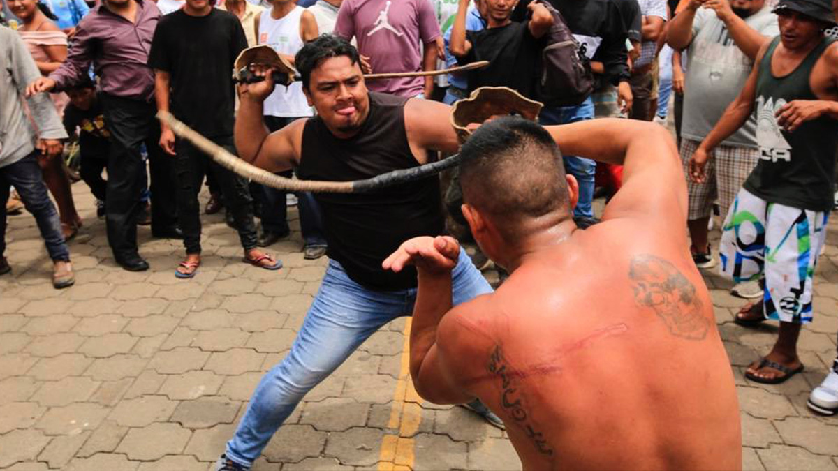 Nicaragua : des hommes se battent à coups de pénis de taureaux séché pour respecter une vieille tradition religieuse