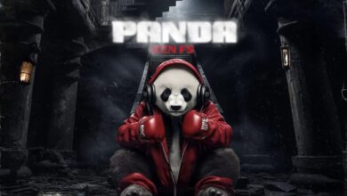 " Panda ", le nouvel album de KenFS