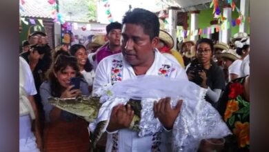 Un maire mexicain épouse une femelle caïman lors d'un rituel ancestral
