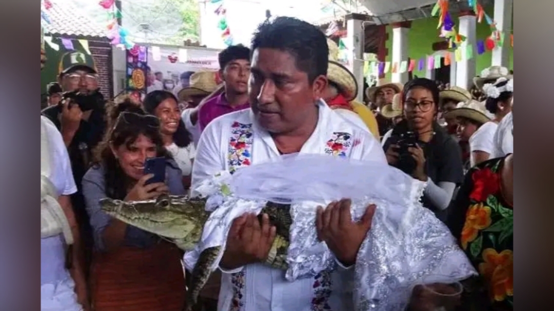 Un maire mexicain épouse une femelle caïman lors d'un rituel ancestral