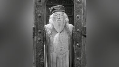 Décès de Michael Gambon, connu pour son rôle de Dumbledore dans « Harry Potter »