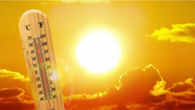 2023, l'année la plus chaude jamais enregistrée