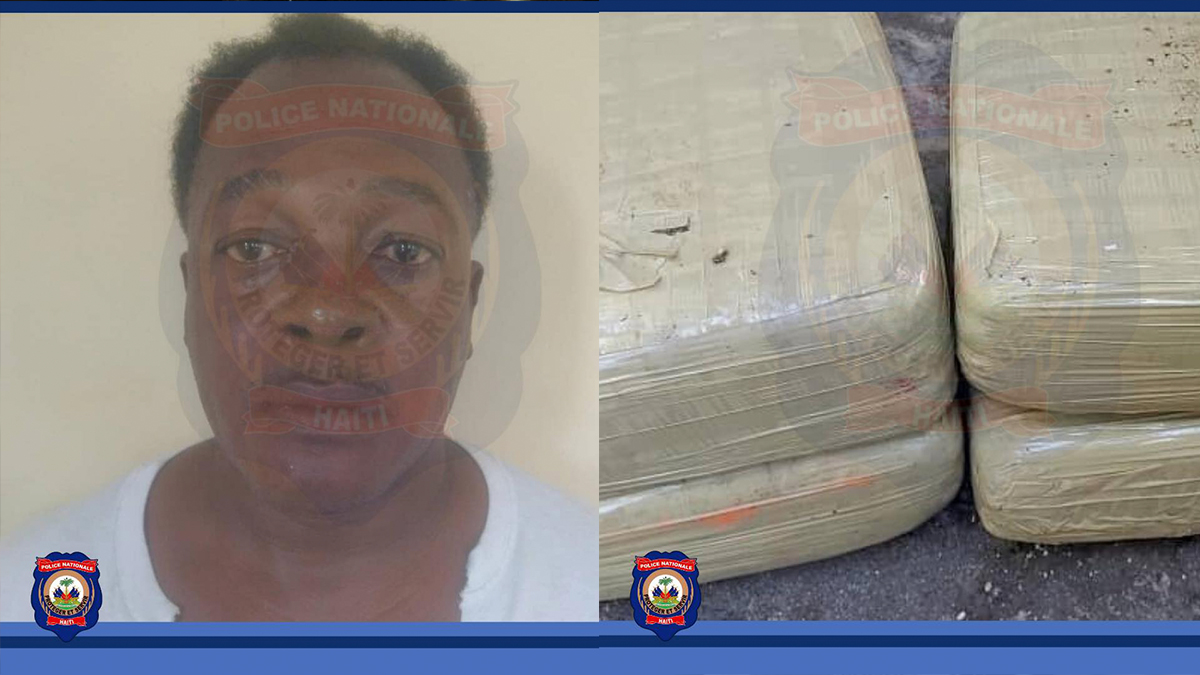 Un Jamaïcain interpellé et 17,287 kg de marijuana saisis par la Police à Saint-Louis-du-Sud