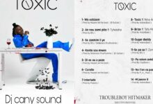 « TOXIC », le cinquième album de TroubleBoy