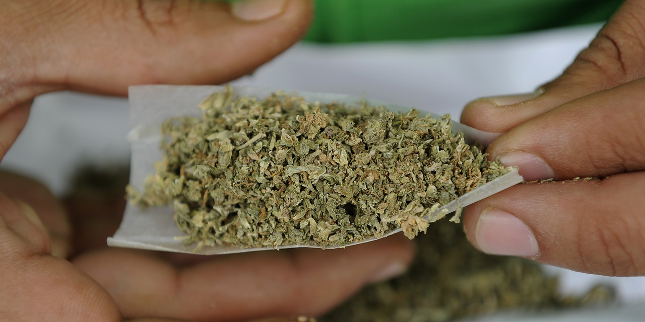 L'Allemagne légalise la possession de marijuana