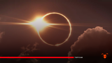 Ce 8 avril 2024, une éclipse solaire totale sera observable en Amérique du Nord