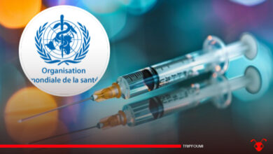 Plus de 3 500 personnes meurent de l'hépatite quotidiennement dans le monde, alerte l'OMS