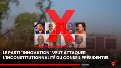 Le parti "Innovation" veut attaquer l'inconstitutionnalité du conseil présidentiel