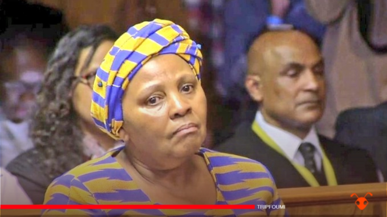 Afrique du Sud : arrestation de la présidente démissionnaire du Parlement pour corruption