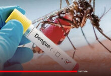 Un autre vaccin contre la dengue soutenu par l'OMS